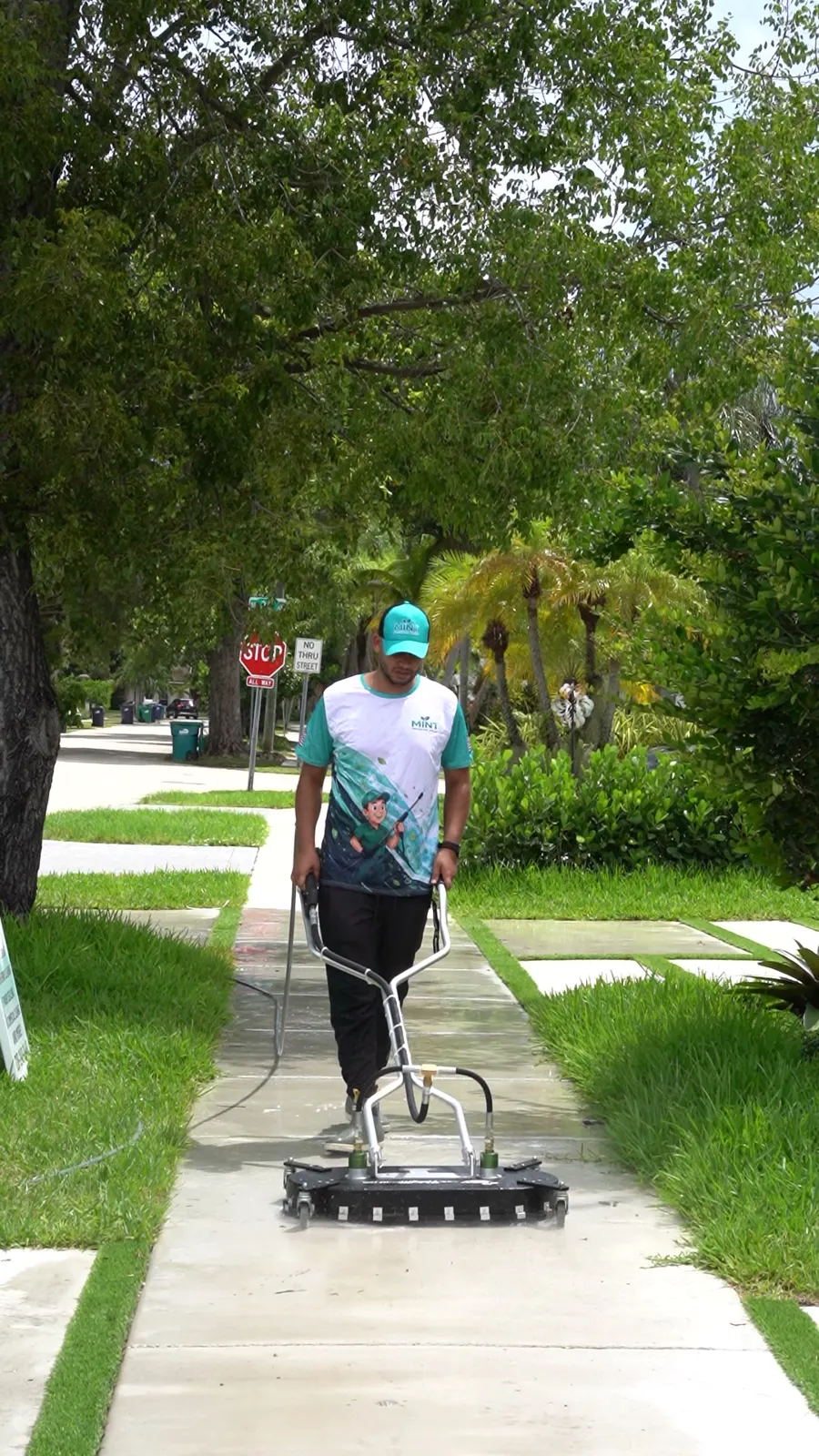 Pavers and walkway cleaning